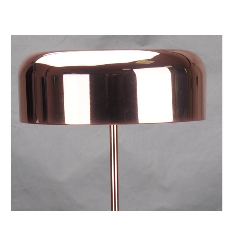 Modern floor lamp with metal shade