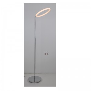 LED floor lamp with adjustable acrylic round ring