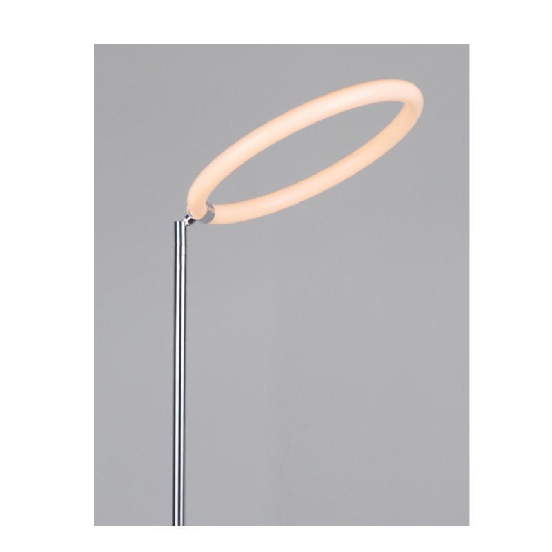 LED floor lamp with adjustable acrylic round ring