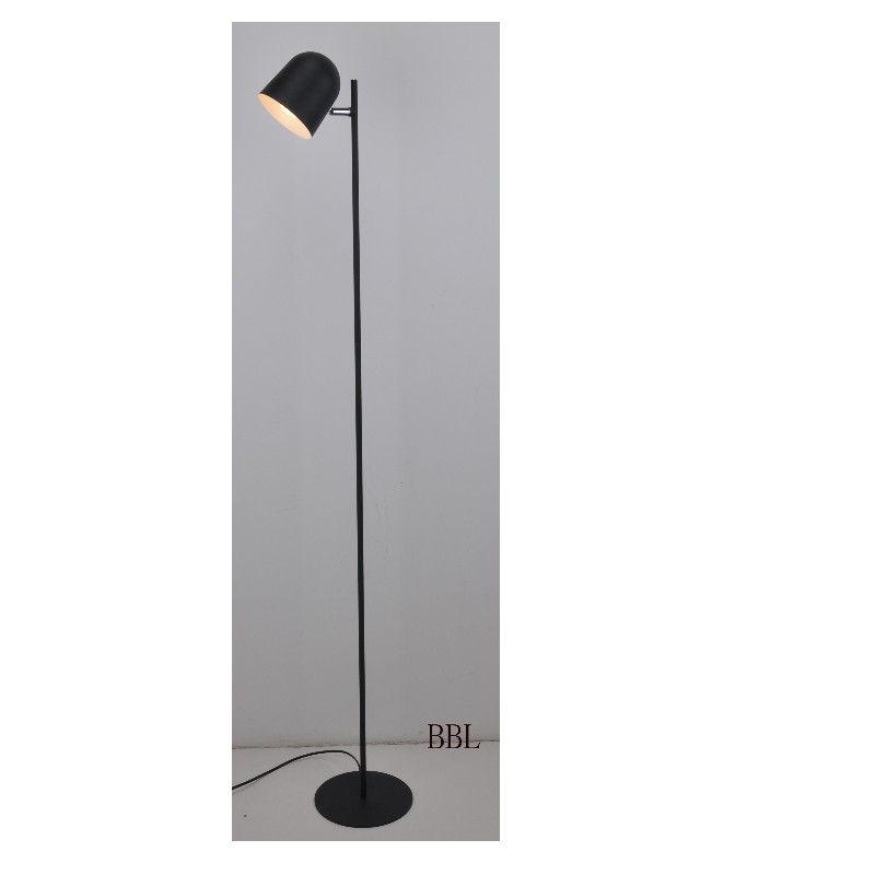 Floor lamp with adjustable lamp shade